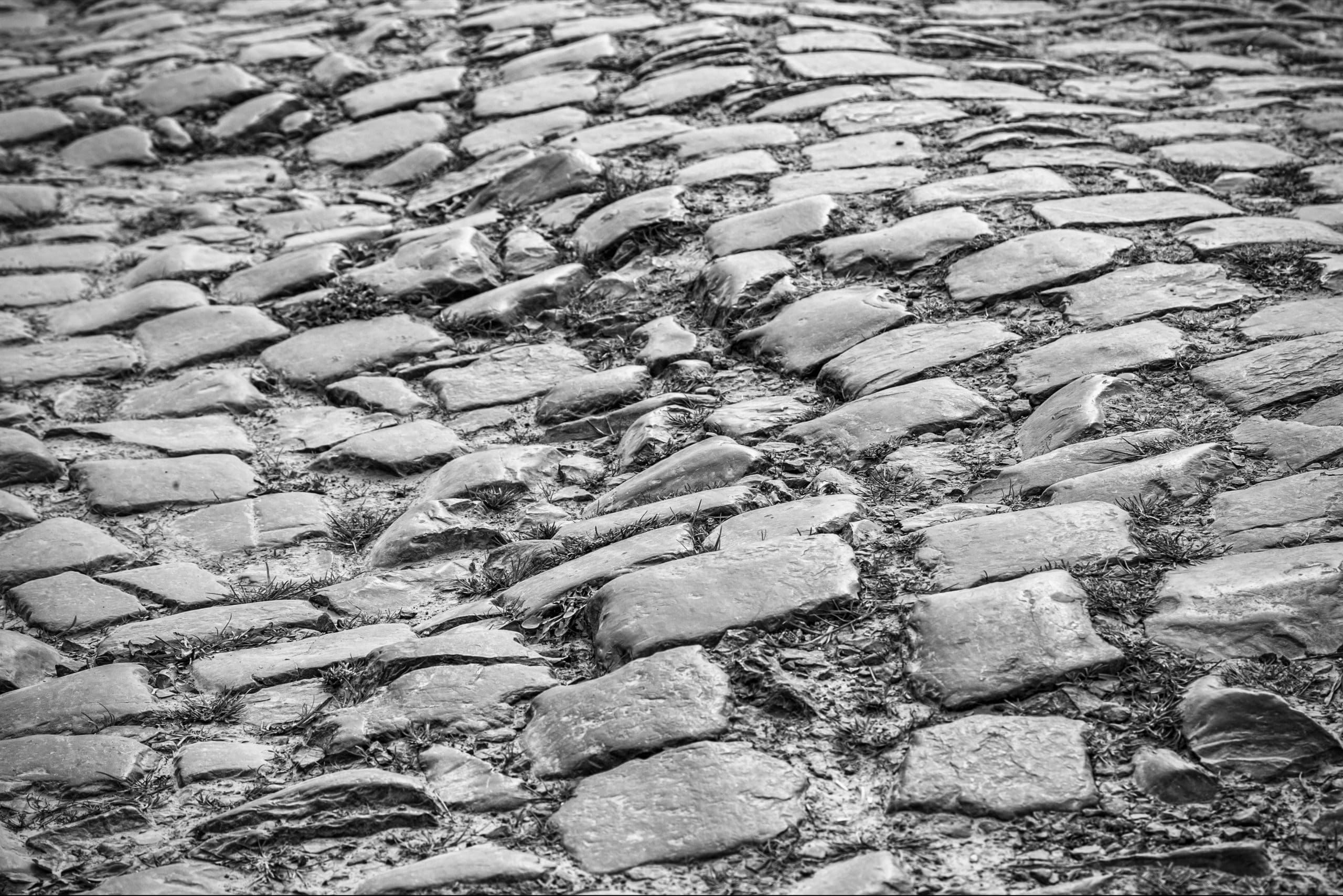 Clarks v Trek: when coexistence agreements hit the cobbles